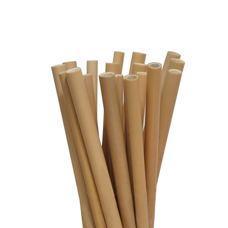 Paille en bambou, réutilisable et recyclable - grosse paille pour Bubble  tea X10